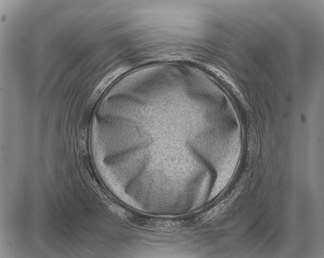 X0000087051273200705091126