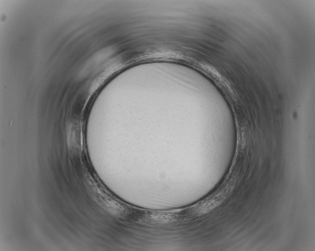 X0000087051274200705091126