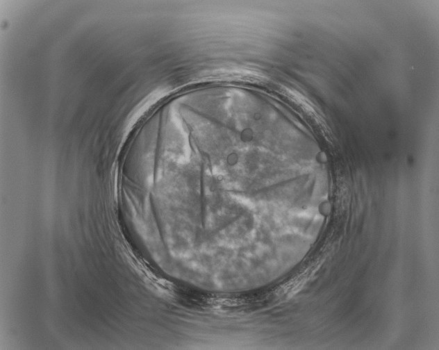 X0000087051275200705091126