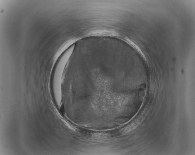 X0000087051277200705091126