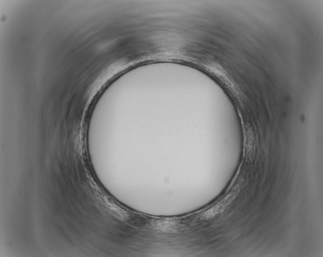 X0000087051278200705091126