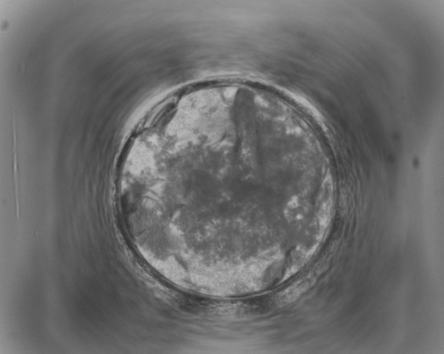 X0000087051279200705091126