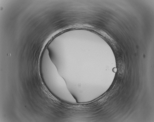 X0000087051280200705091126