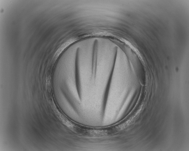 X0000087051281200705091126