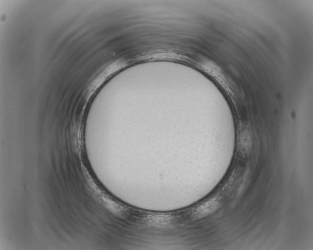 X0000087051282200705091126