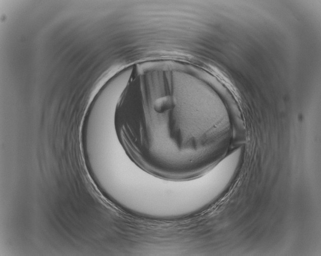 X0000087051283200705091126