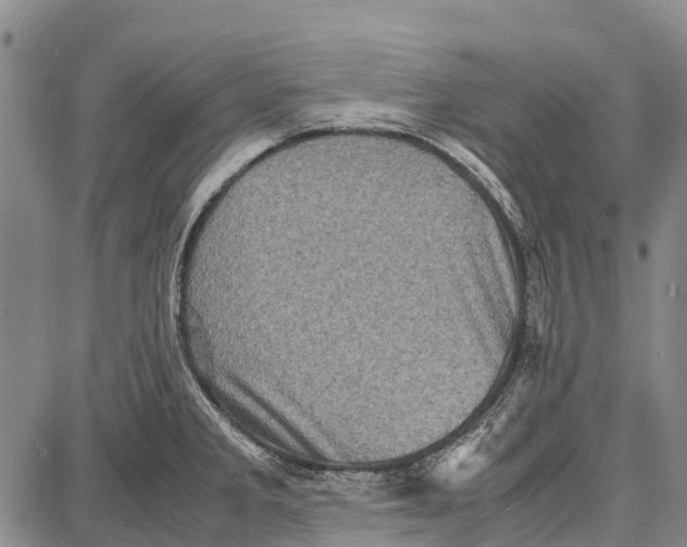 X0000087051285200705091126