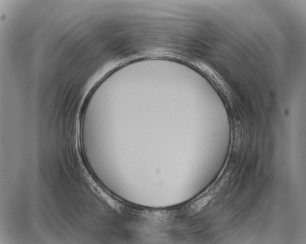 X0000087051286200705091126