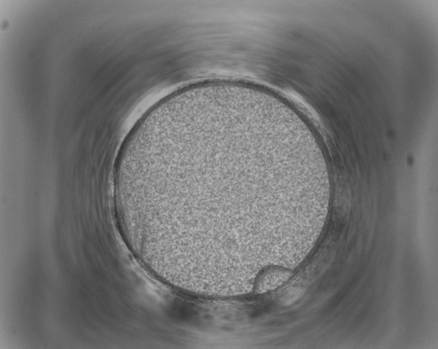 X0000087051287200705091126