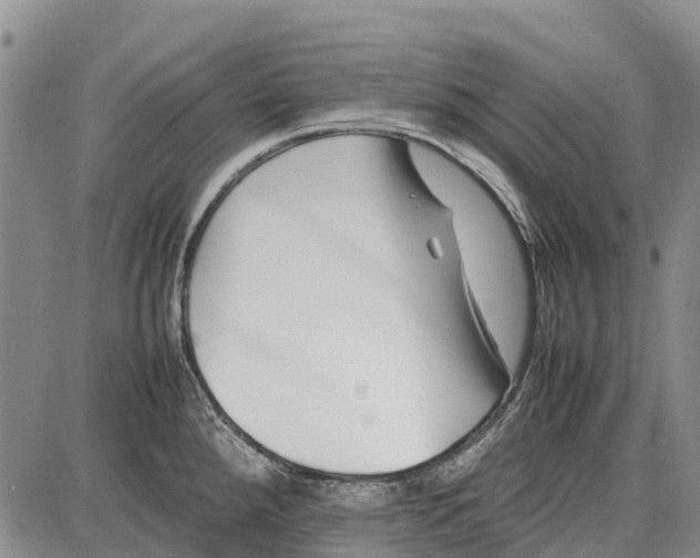 X0000087051288200705091126