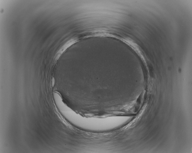 X0000087051289200705091126