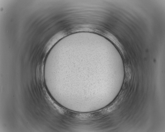 X0000087051290200705091126