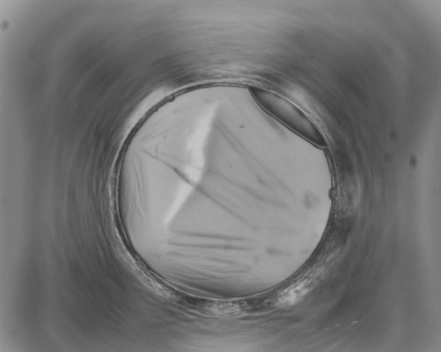 X0000087051291200705091126