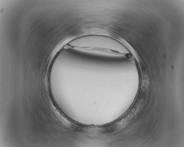 X0000087051293200705091126