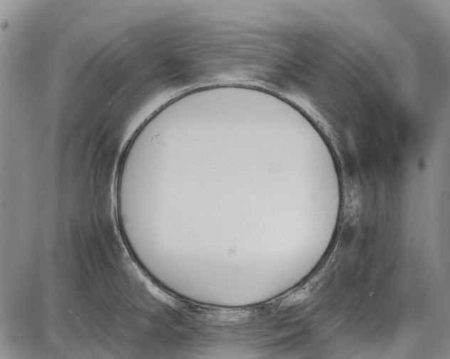 X0000087051294200705091126