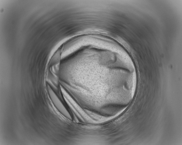 X0000087051296200705091126