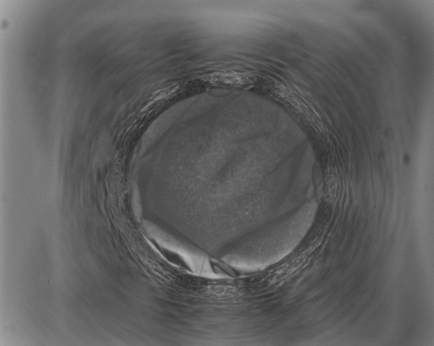 X0000087051297200705091125