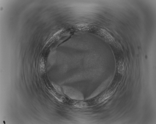 X0000087051298200705091125