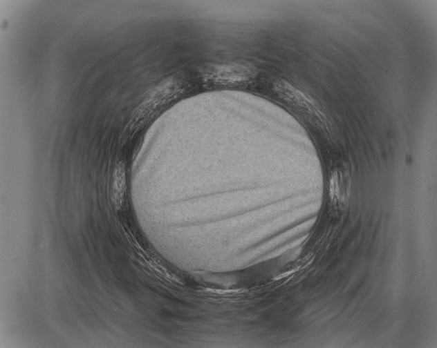 X0000087051299200705091125