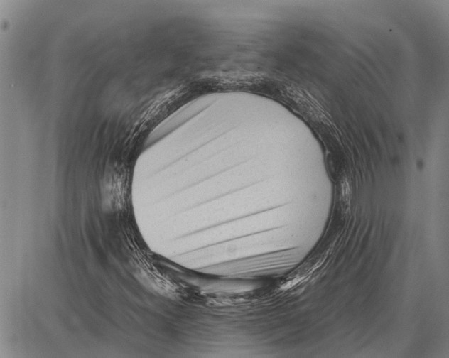 X0000087051300200705091125