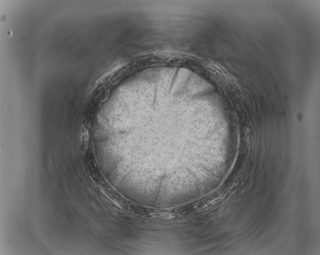 X0000087051302200705091125