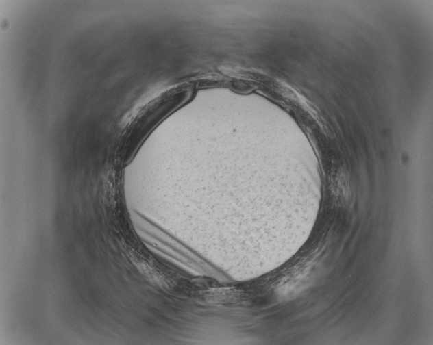 X0000087051304200705091125