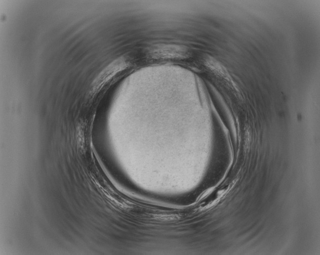 X0000087051305200705091125