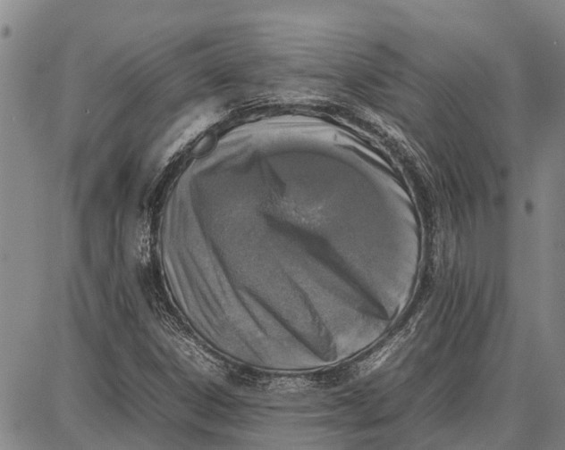 X0000087051306200705091125