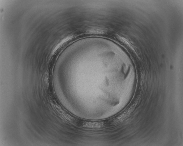 X0000087051307200705091126