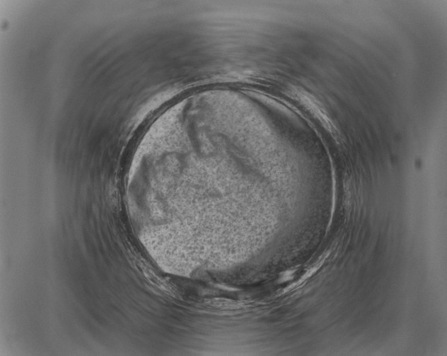 X0000087051308200705091126