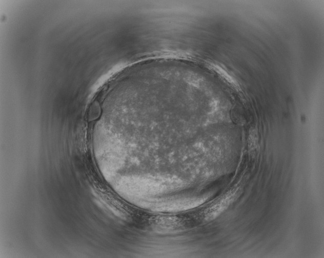 X0000087051310200705091126