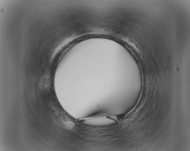 X0000087051311200705091126