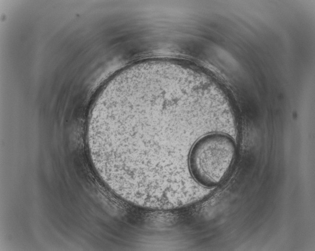 X0000087051314200705091126