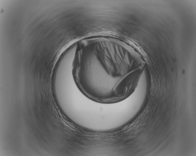 X0000087051316200705091126