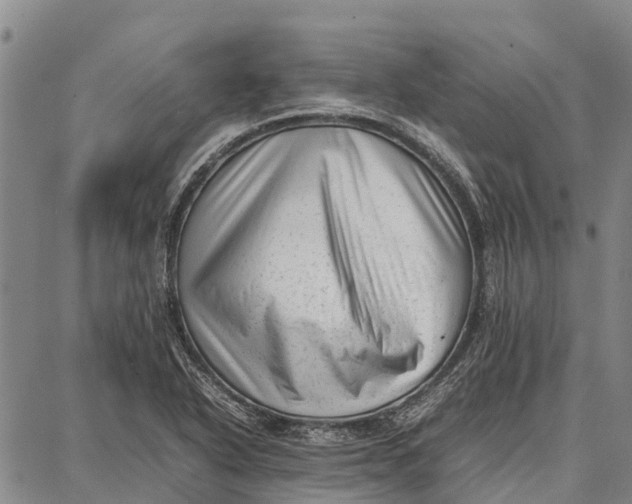 X0000087051318200705091126