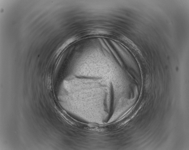 X0000087051321200705091126