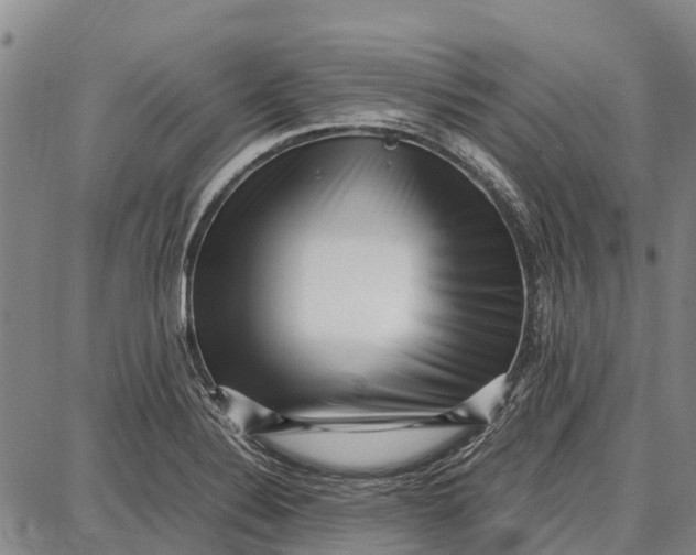 X0000087051324200705091126