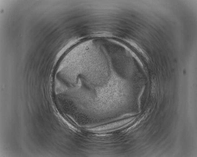 X0000087051325200705091126