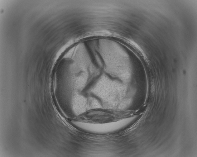 X0000087051326200705091126