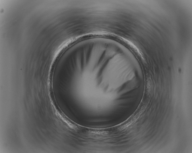 X0000087051327200705091126