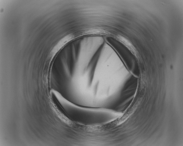 X0000087051330200705091126