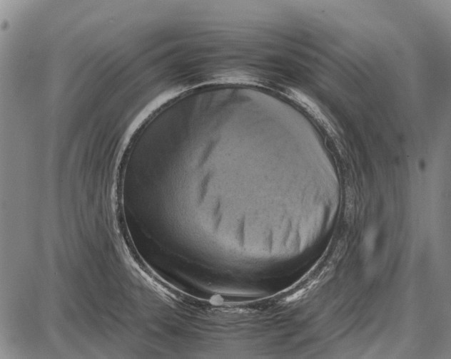 X0000087051331200705091126