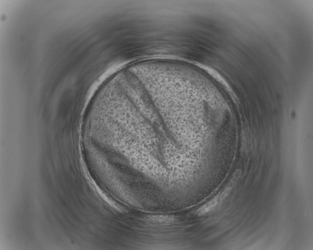 X0000087051333200705091126