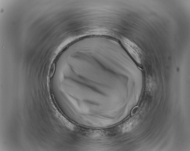 X0000087051334200705091126