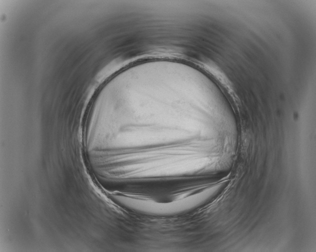 X0000087051335200705091126