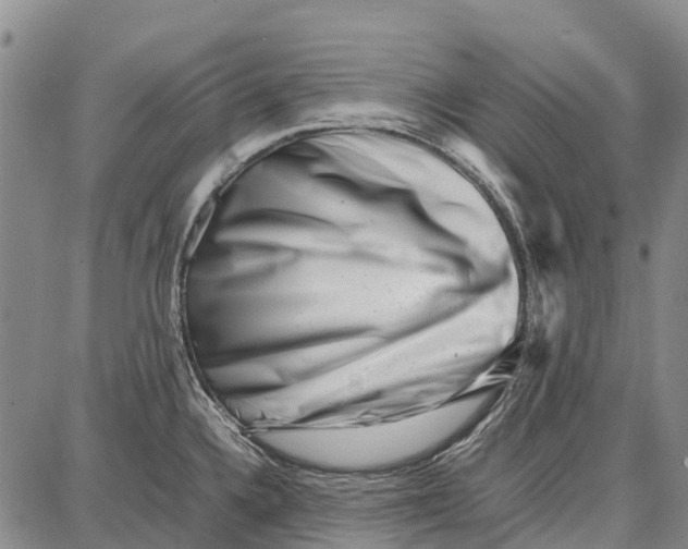 X0000087051336200705091126