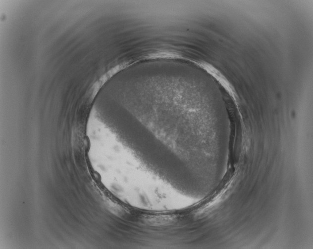 X0000087051337200705091126