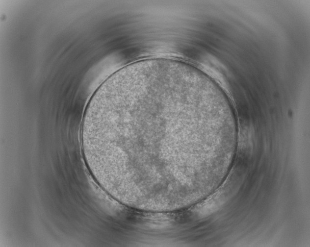 X0000087051338200705091126