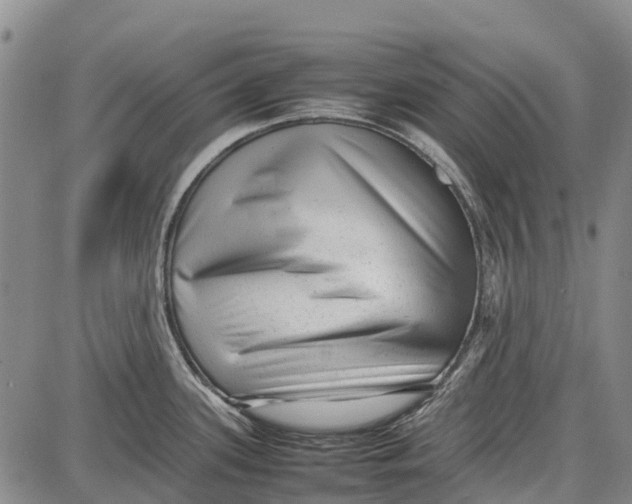 X0000087051339200705091126