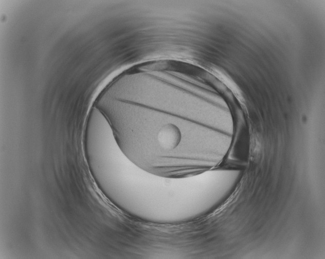 X0000087051340200705091126